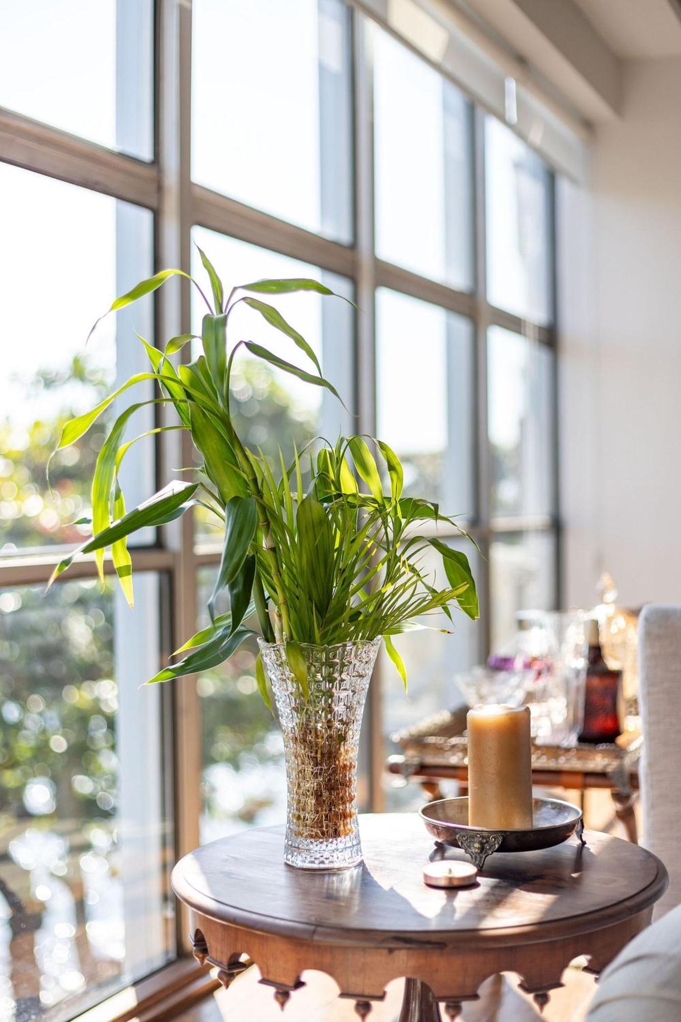 Apartamento Vista Mar E Vista Pao De Acucar Ρίο ντε Τζανέιρο Εξωτερικό φωτογραφία